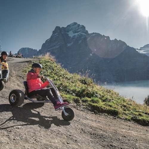 格林德瓦首次：从卢塞恩出发的一日游门票，目的地格林德瓦