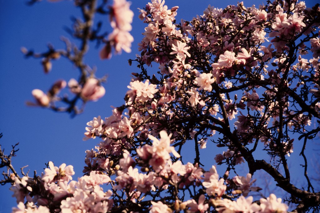 Wedding flowers resting on chair