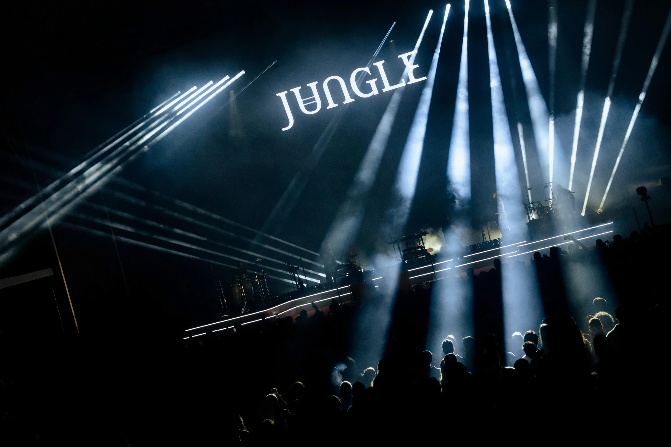 Jungle, event coverage by ANY & ALL STUDIOS, image 7 of 7