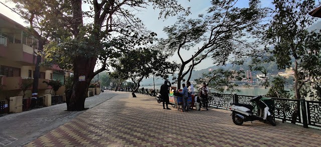A beautiful, tree-lined road and Ram jhula at a distance.