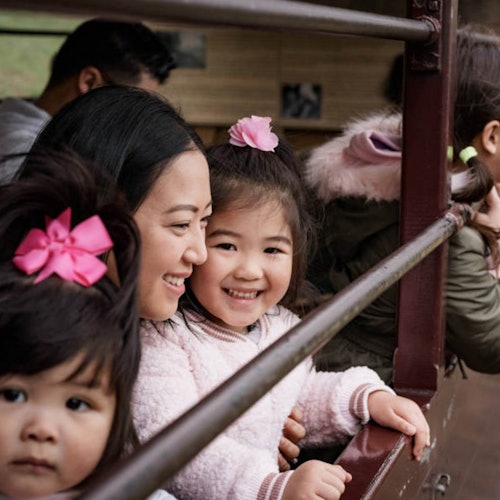 Biglietti di andata e ritorno da Belgrave a Gembrook per Puffing Billy