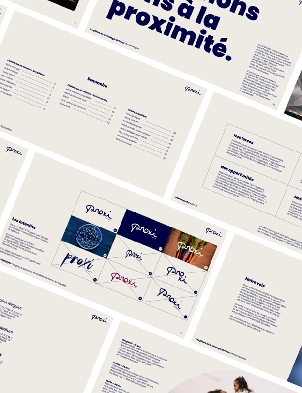 Extraits visuels du brandbook.