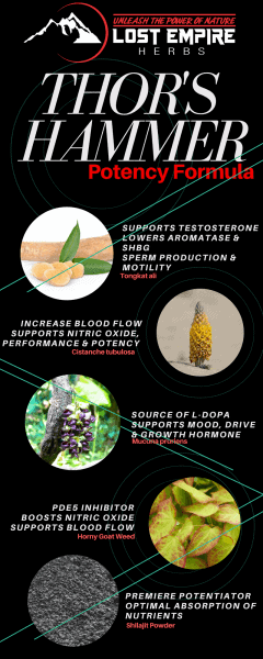 There’s evidence Shilajit supports testosterone levels.