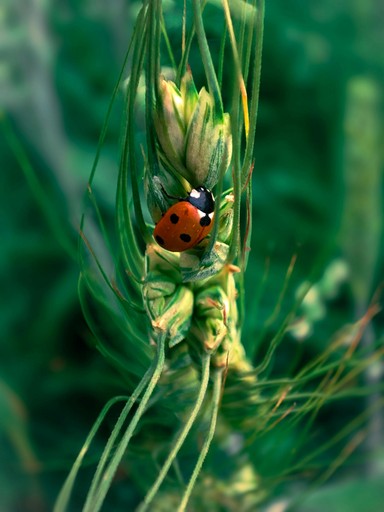 Smiling young man with short hair poses against a dark background, wearing a green button-up shirt.