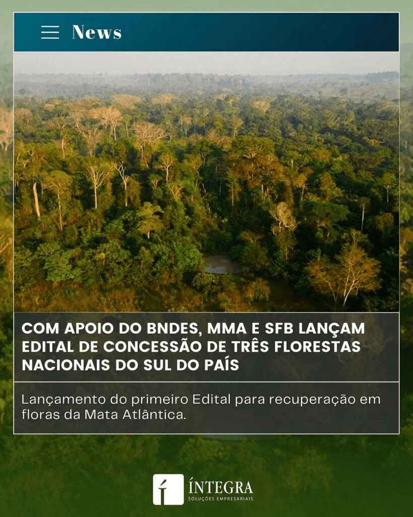 Close-up of lush, dark green leaves, some glossy and wet, against a muted background.