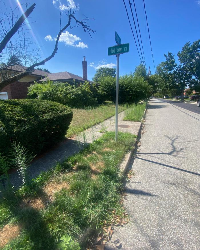 Before Topel Industries worked on it: curb strip at the corner