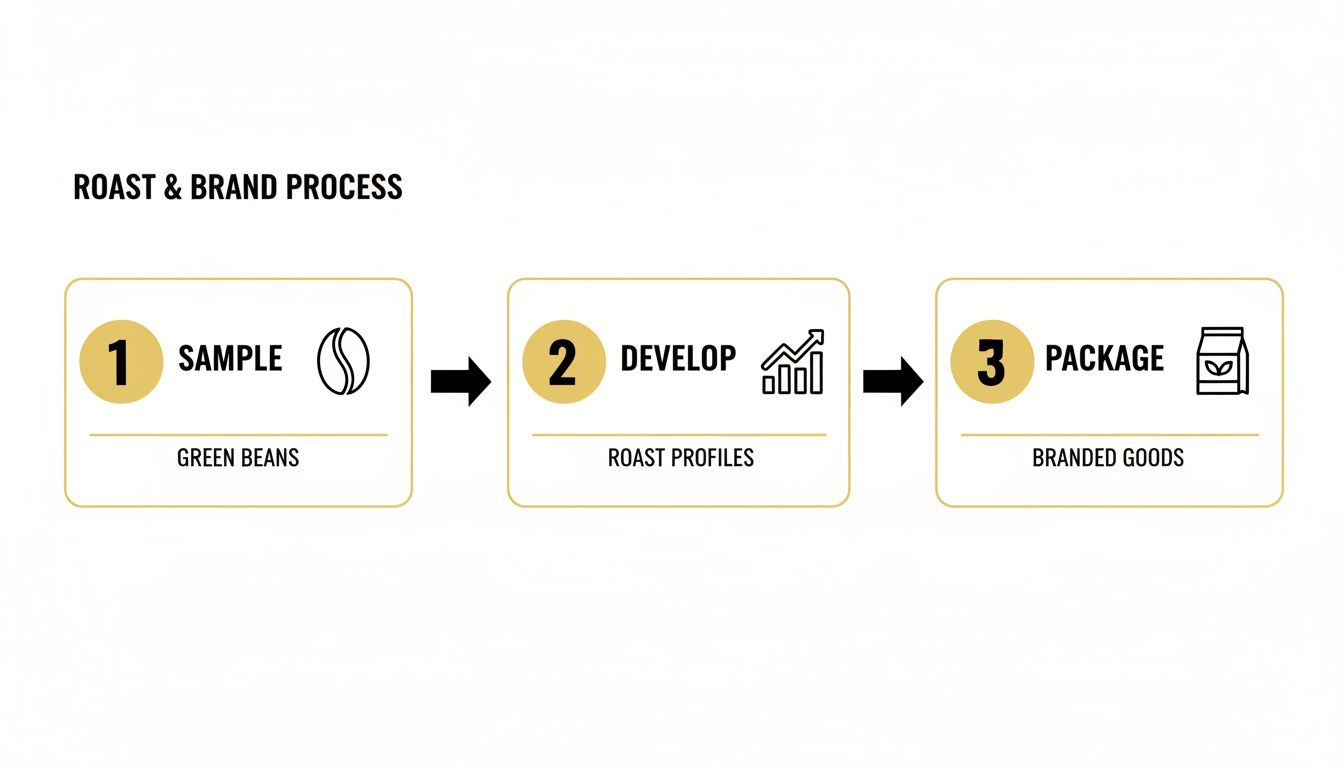 A three-step process diagram illustrating coffee roasting and branding, from green beans to packaged goods.