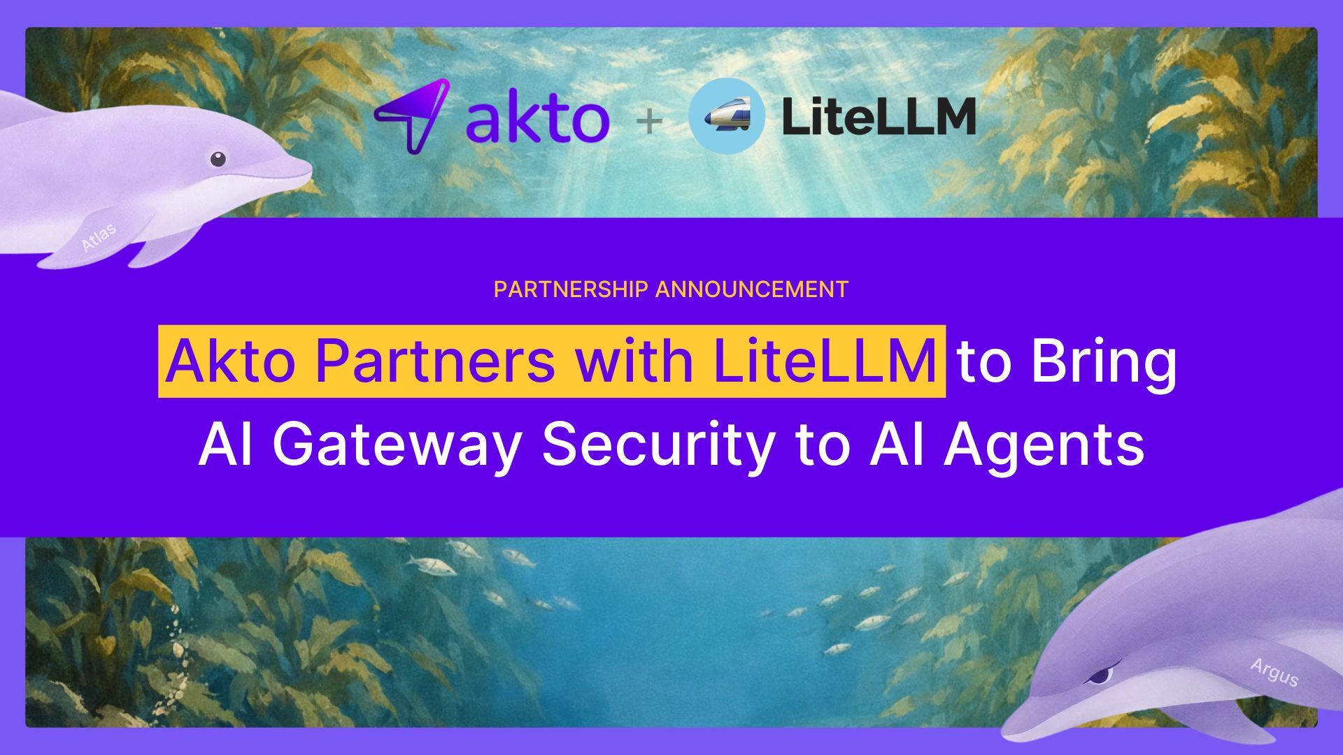 Akto Partnership with LiteLLM