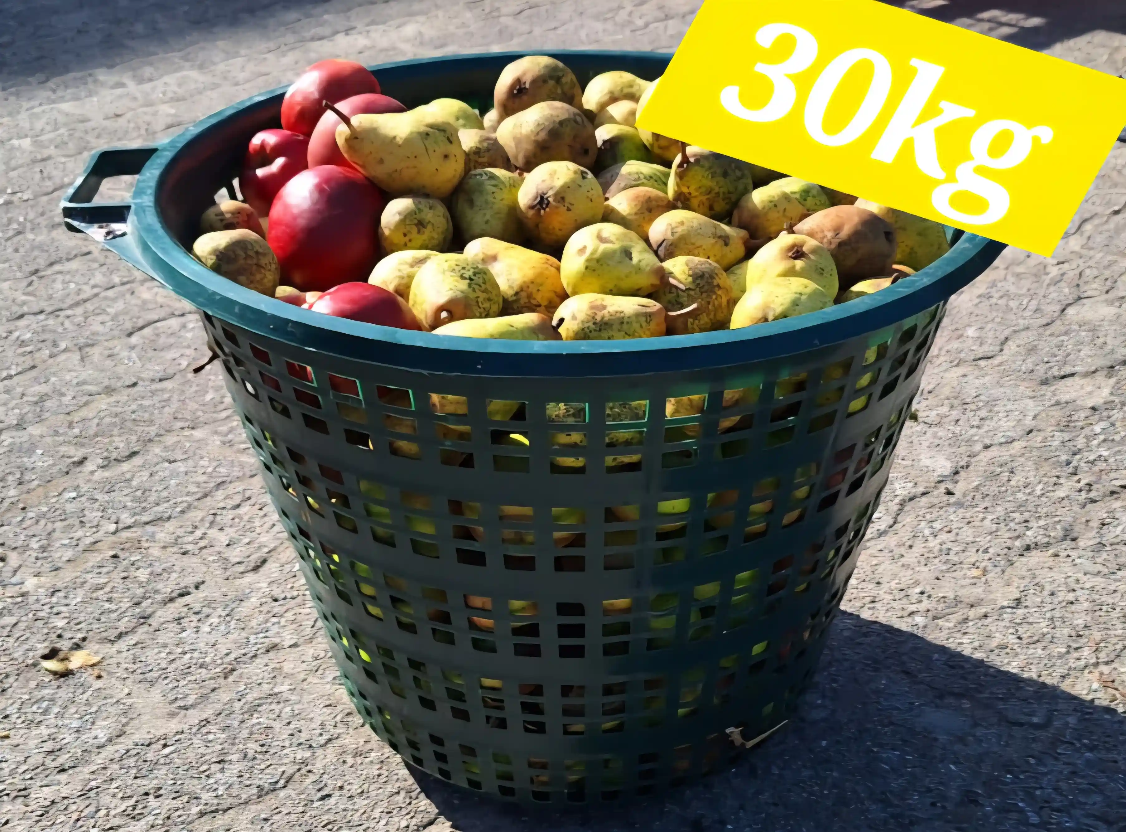 Apfelkorb mit 30KG Inhalt