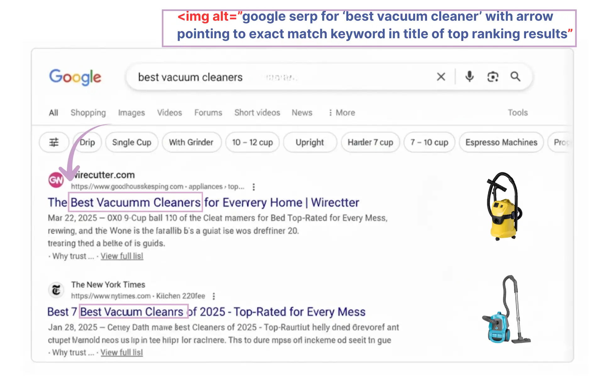 Google search results showing alt text example