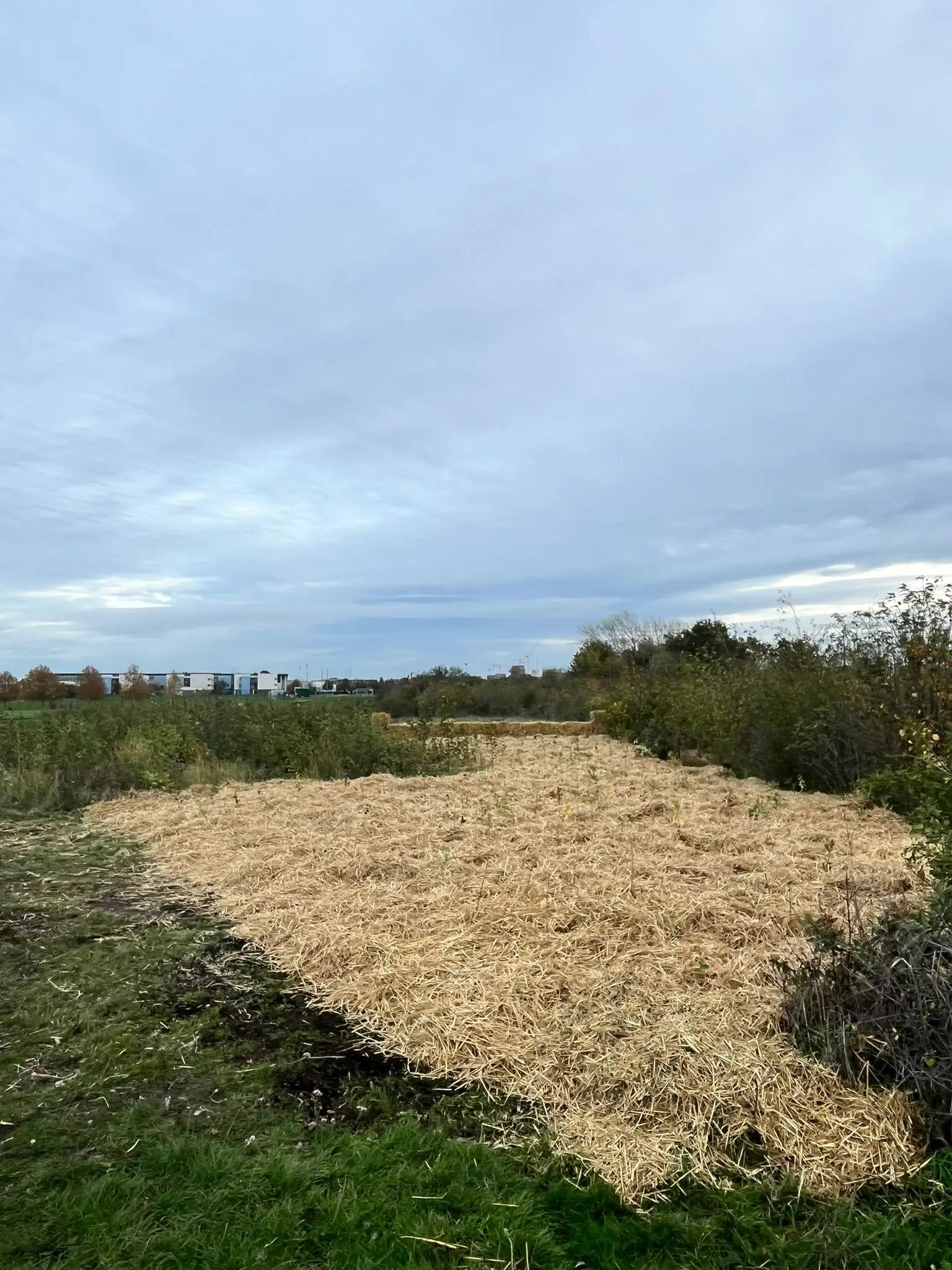 A grassy area with a sandy path leading into the distance under a cloudy sky.