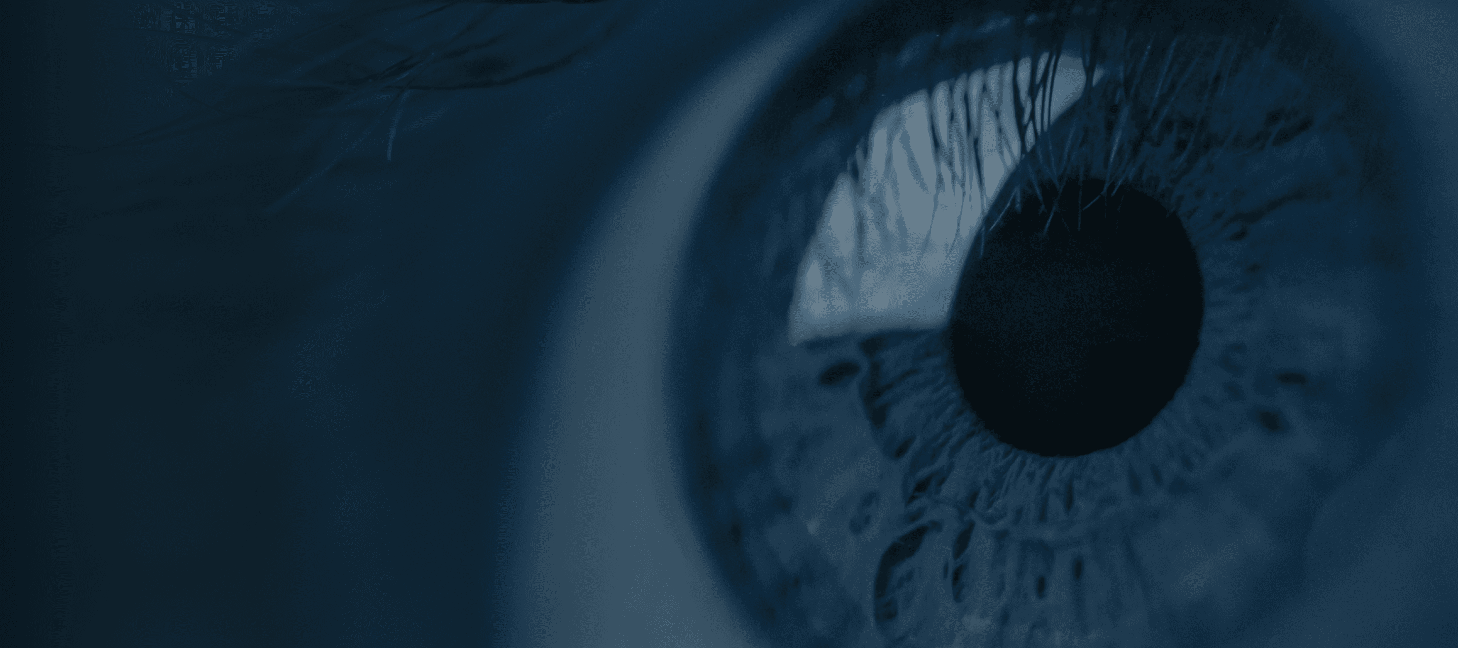 Close-up of a blue eye, focusing on the iris and pupil.