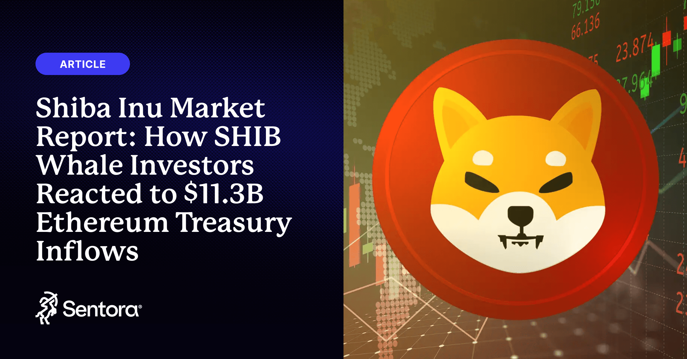 Shiba Inu Market Report: How SHIB Whale Investors Reacted to $11.3B  Ethereum Treasury Inflows - Sentora Research | Exploring the Future of  Blockchain and DeFi