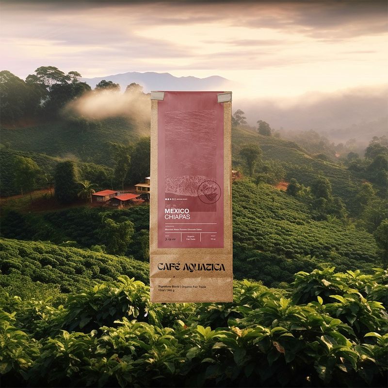 Café Aquatica coffee brand identity & packaging — gallery image 4 by GRNHS
