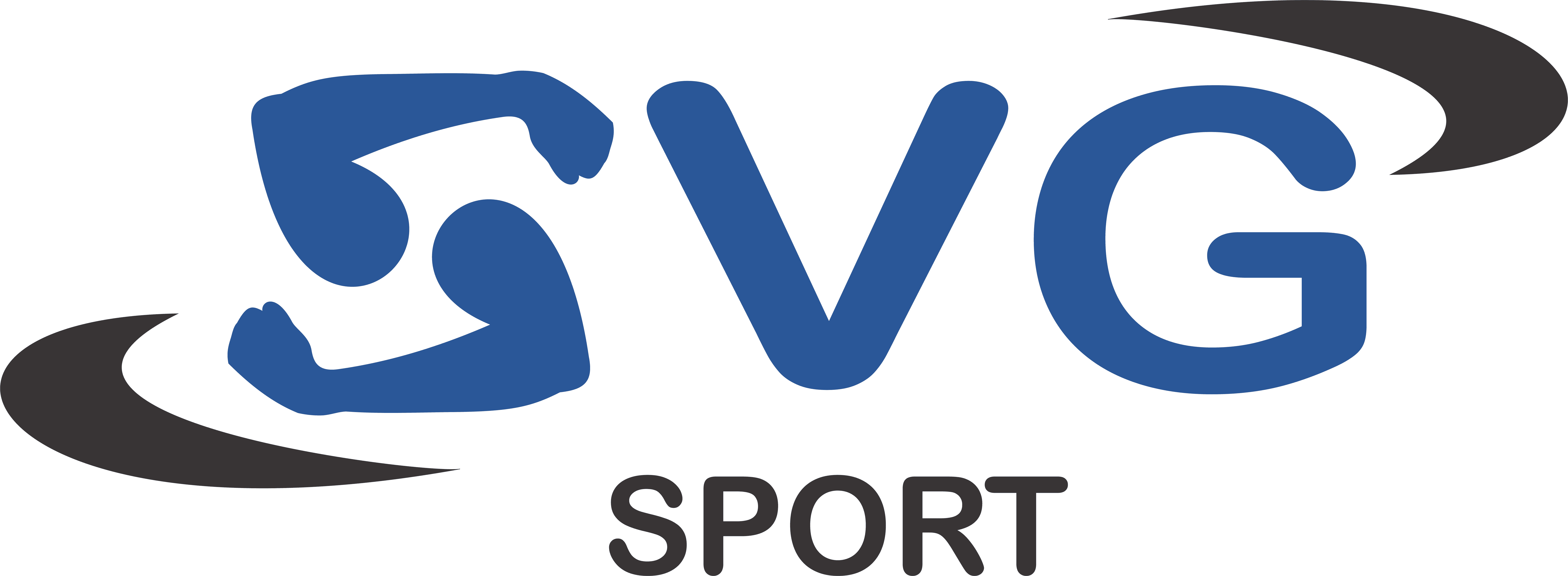 svg sport