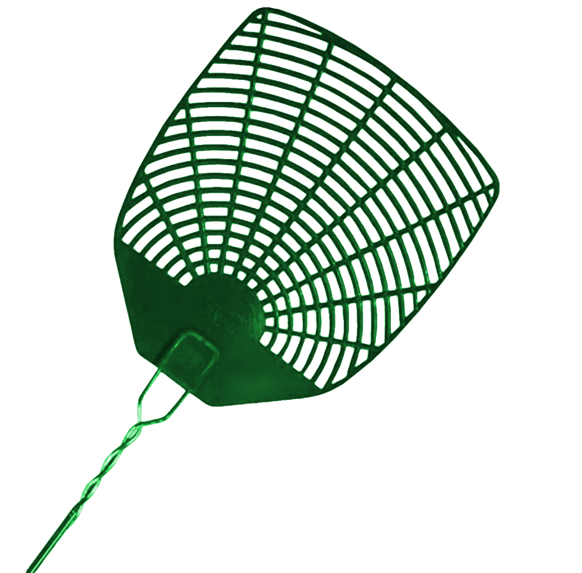 fly swatter