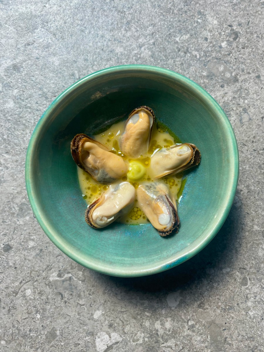 Gold Bouchot Mussels and Irish Moss Seaweed Sauce