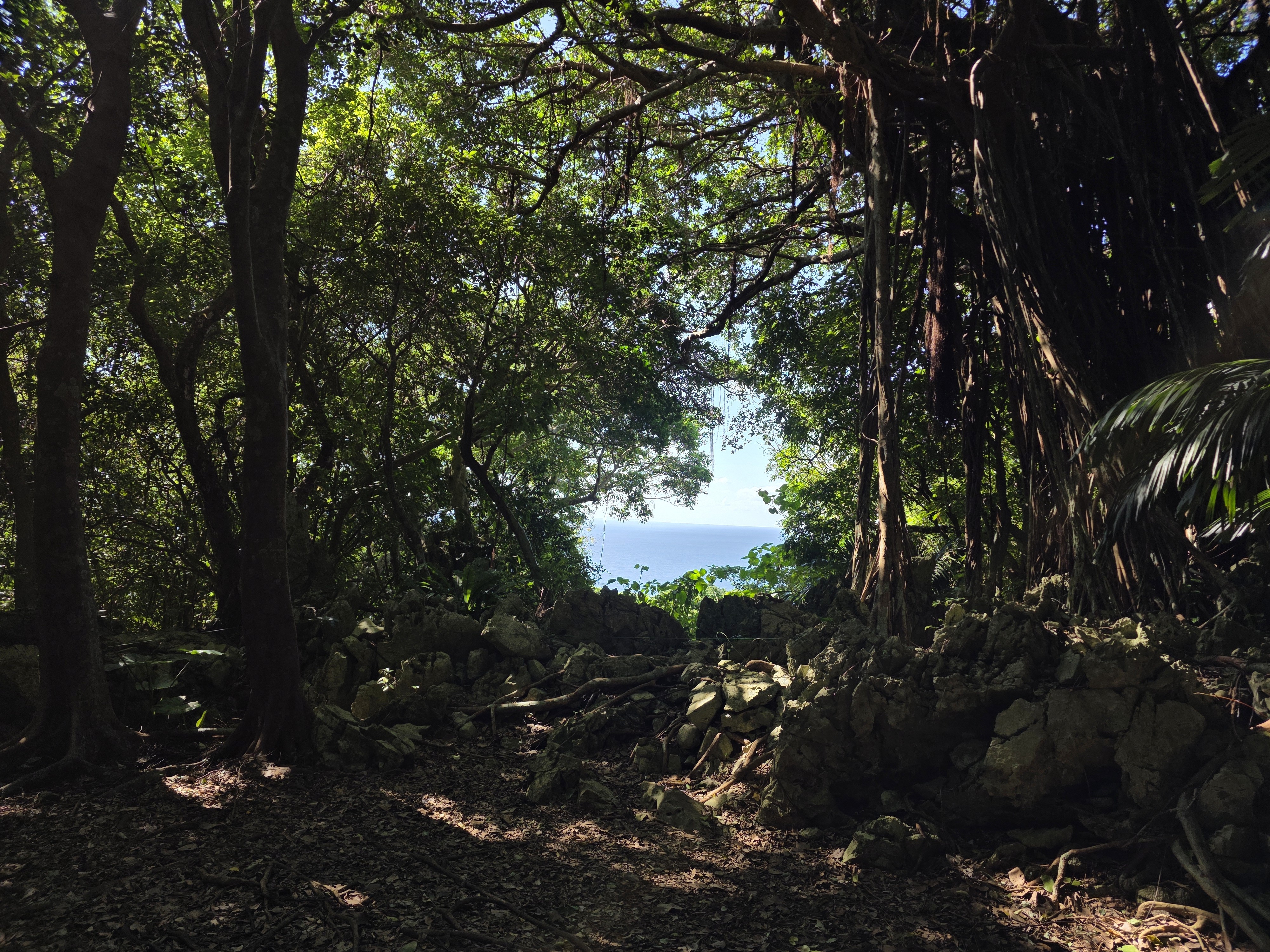 ブログ_アスムイハイクス