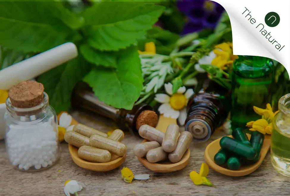 Coozmoo client and Earth University business owner Daniela Hernandez