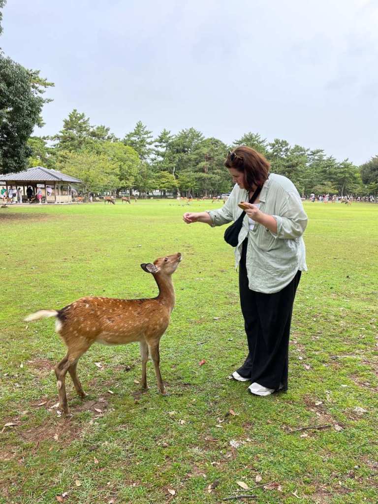 Feeding deer in Nara Park