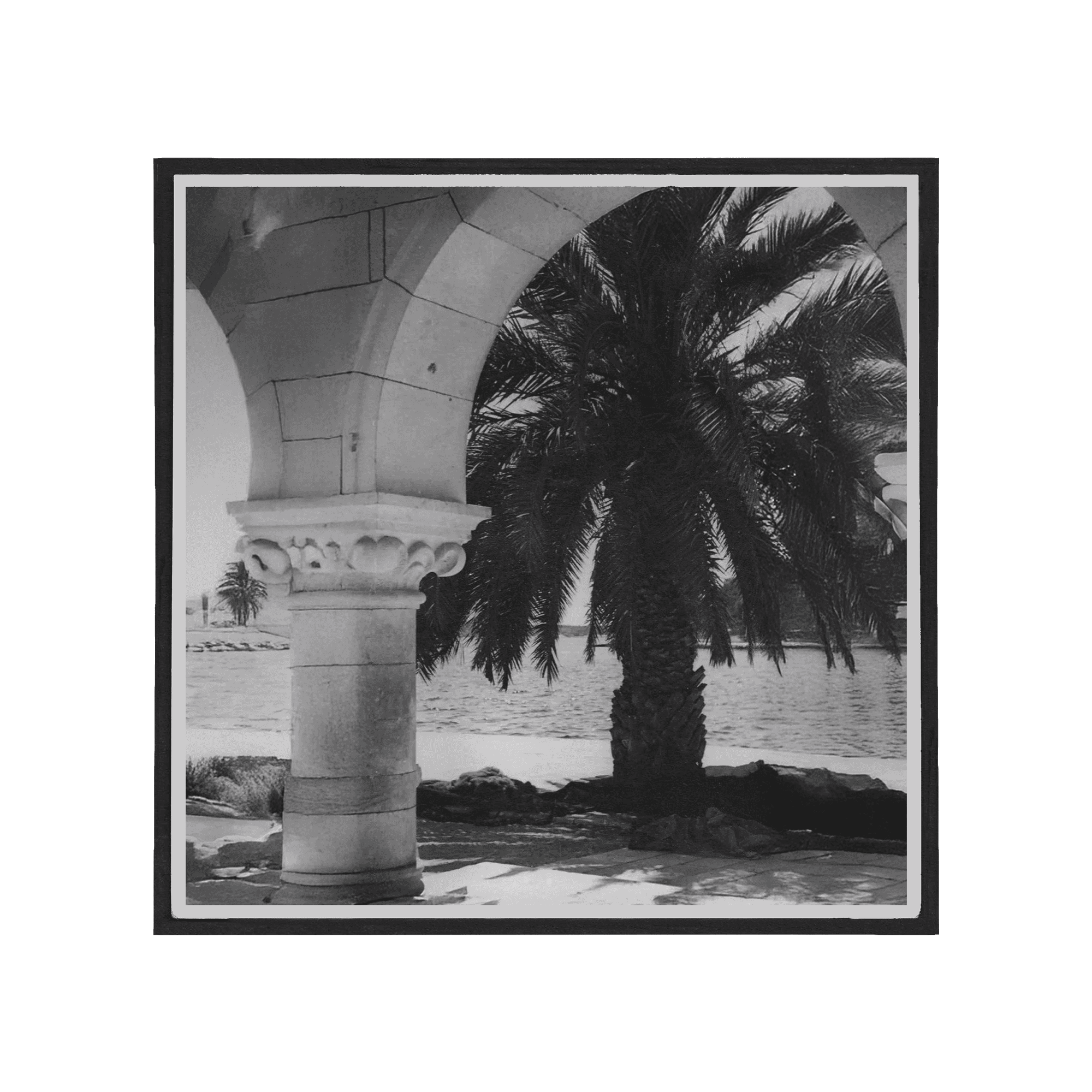 Index collection image, archway and palm tree on a vintage photo