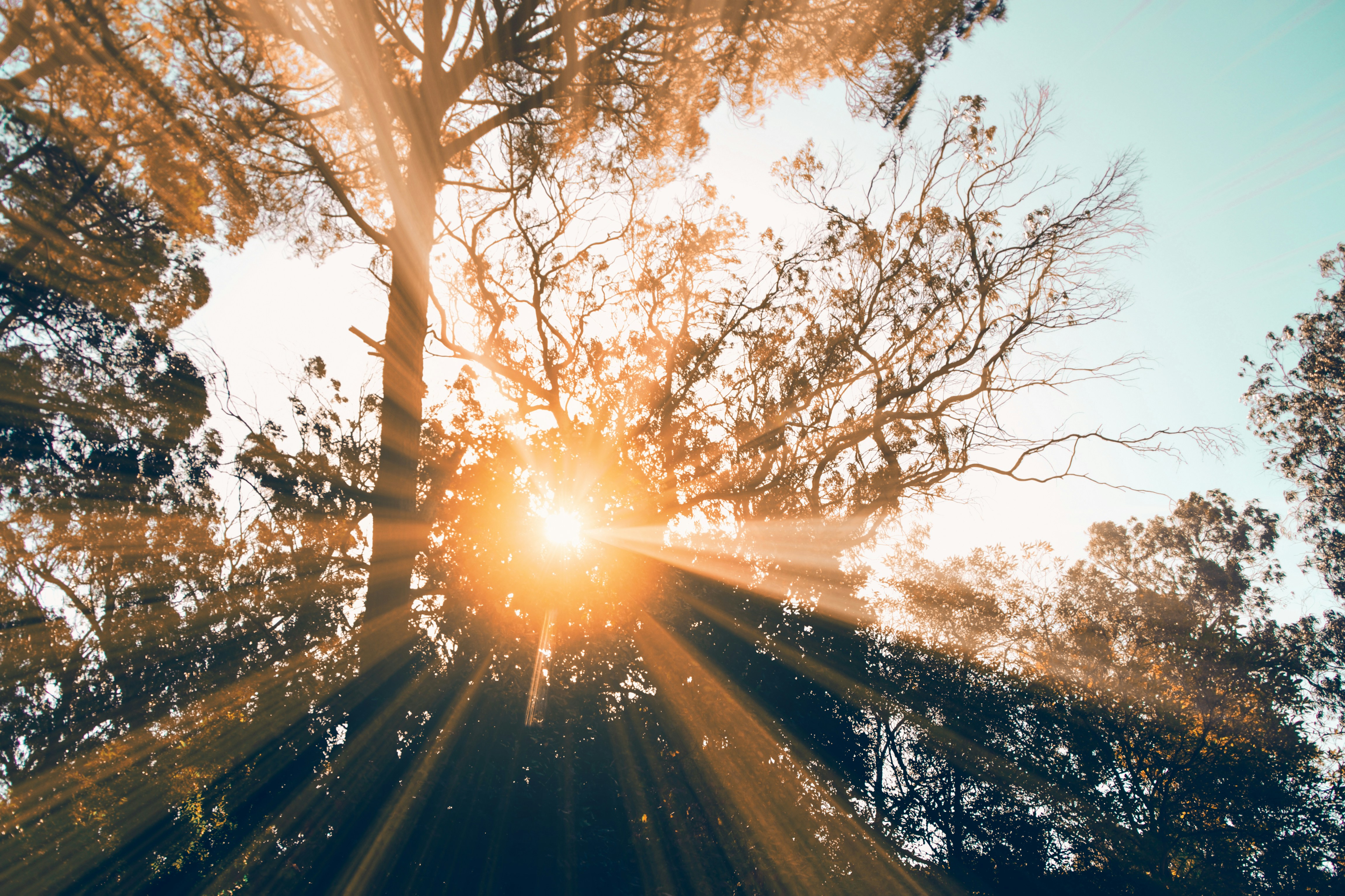 sunlight - Can You Get Vitamin D from the Sun Through a Window? 