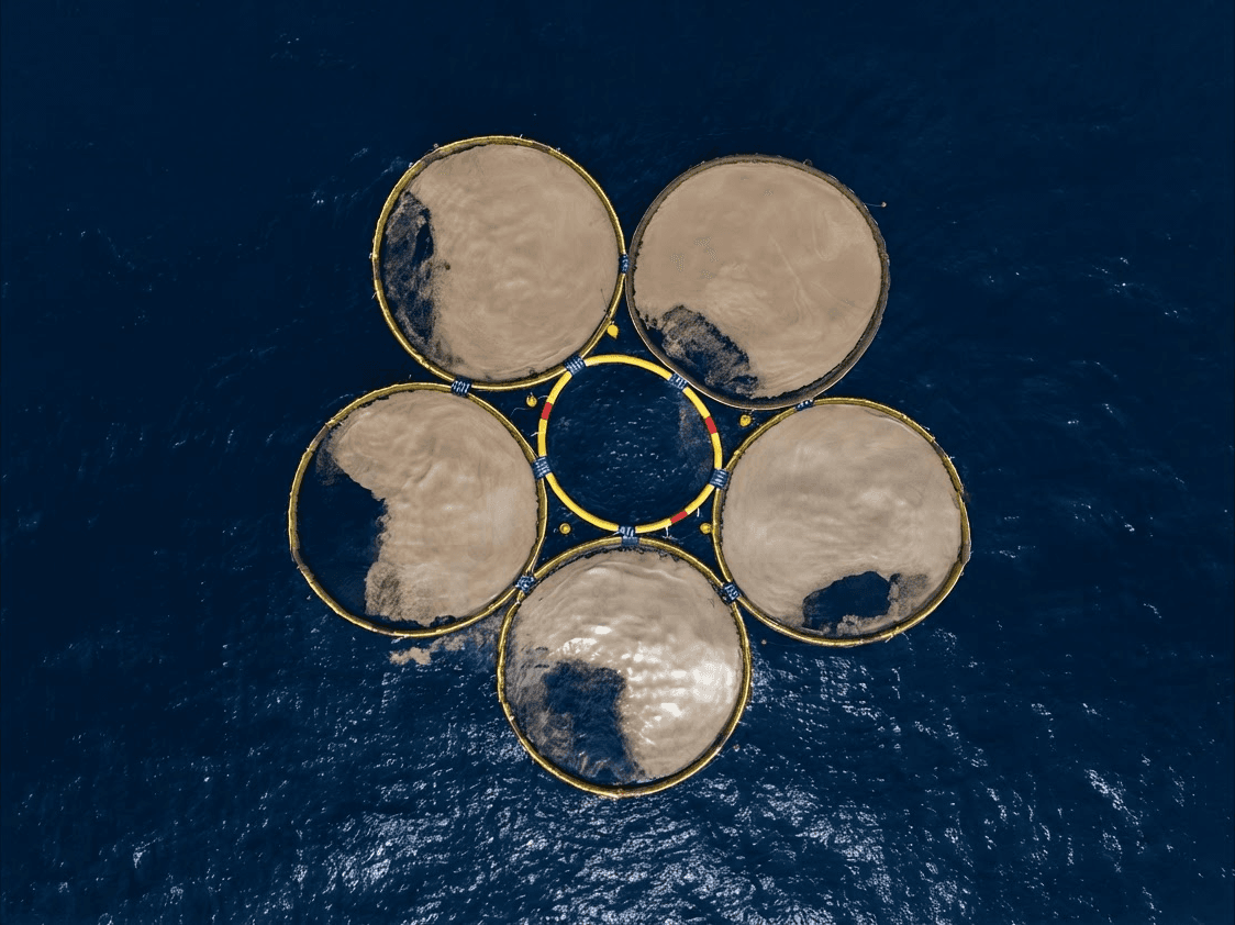 Overhead view of research pens containing Carbon-Carrier Pods during 2024 research trial in Otago, New Zealand