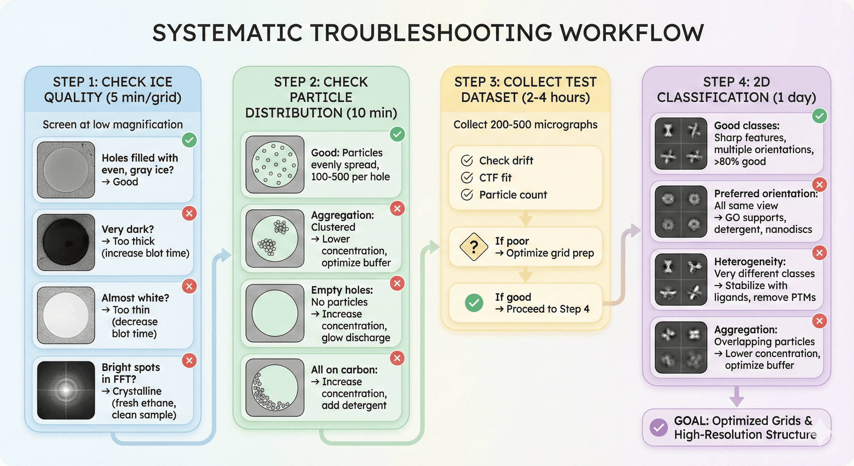 Diagram Showing the Workflow to Follow to Troubleshoot Cryo-EM Sample Prep Problems