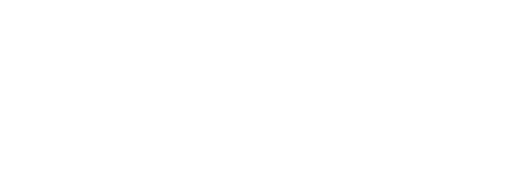 Company logo in white