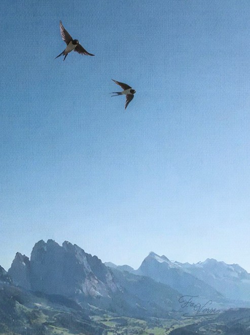 Sacred artwork by Faith and Verse. © Faith and Verse, 2026. All rights reserved. Swallows in flight over Alpine mountain peaks, Valle d'Aosta, Italy.
