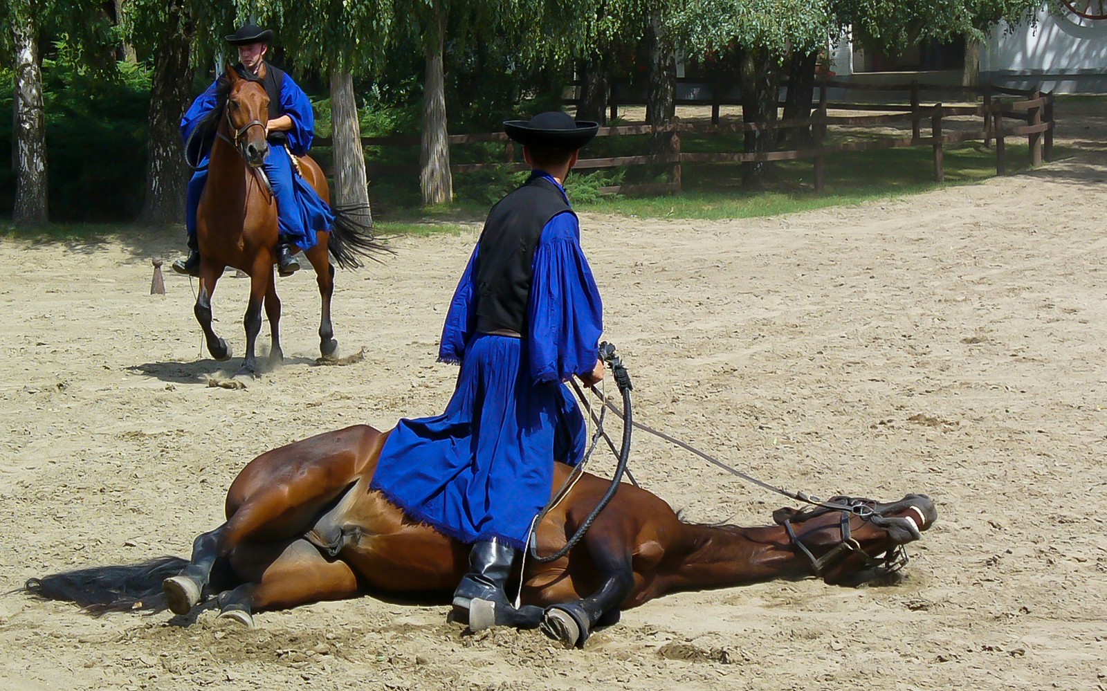 Horseman in traditional attire performing at Kecskemet horse show during Puszta day trip from Budapest.