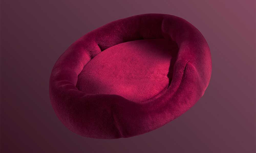 Fotorealistisches 3D-Rendering eines magentafarbenen Hundebetts aus der Vogelperspektive mit weicher Textur und sichtbarer Polsterstruktur