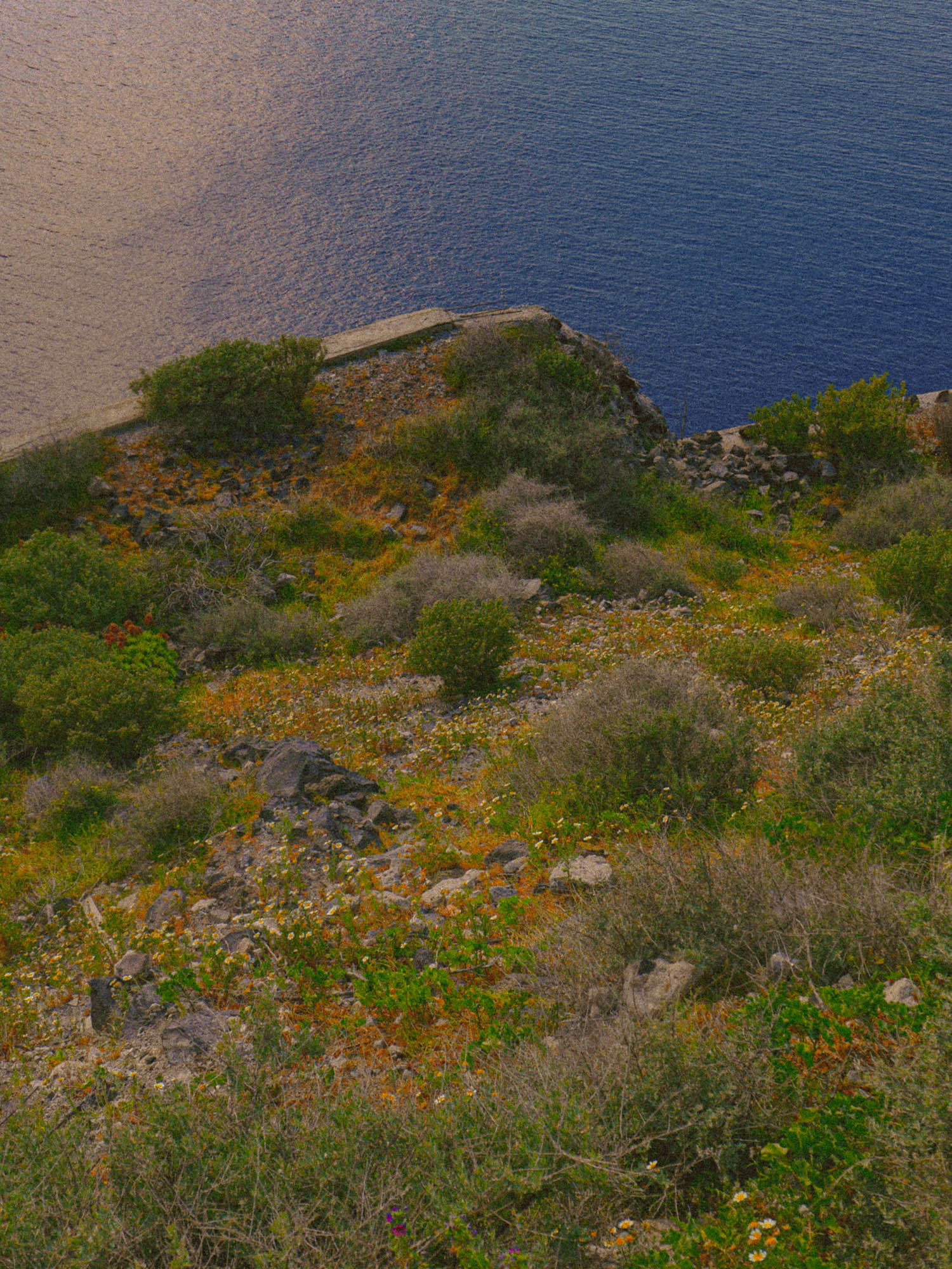 A cliff overlooking the ocean.