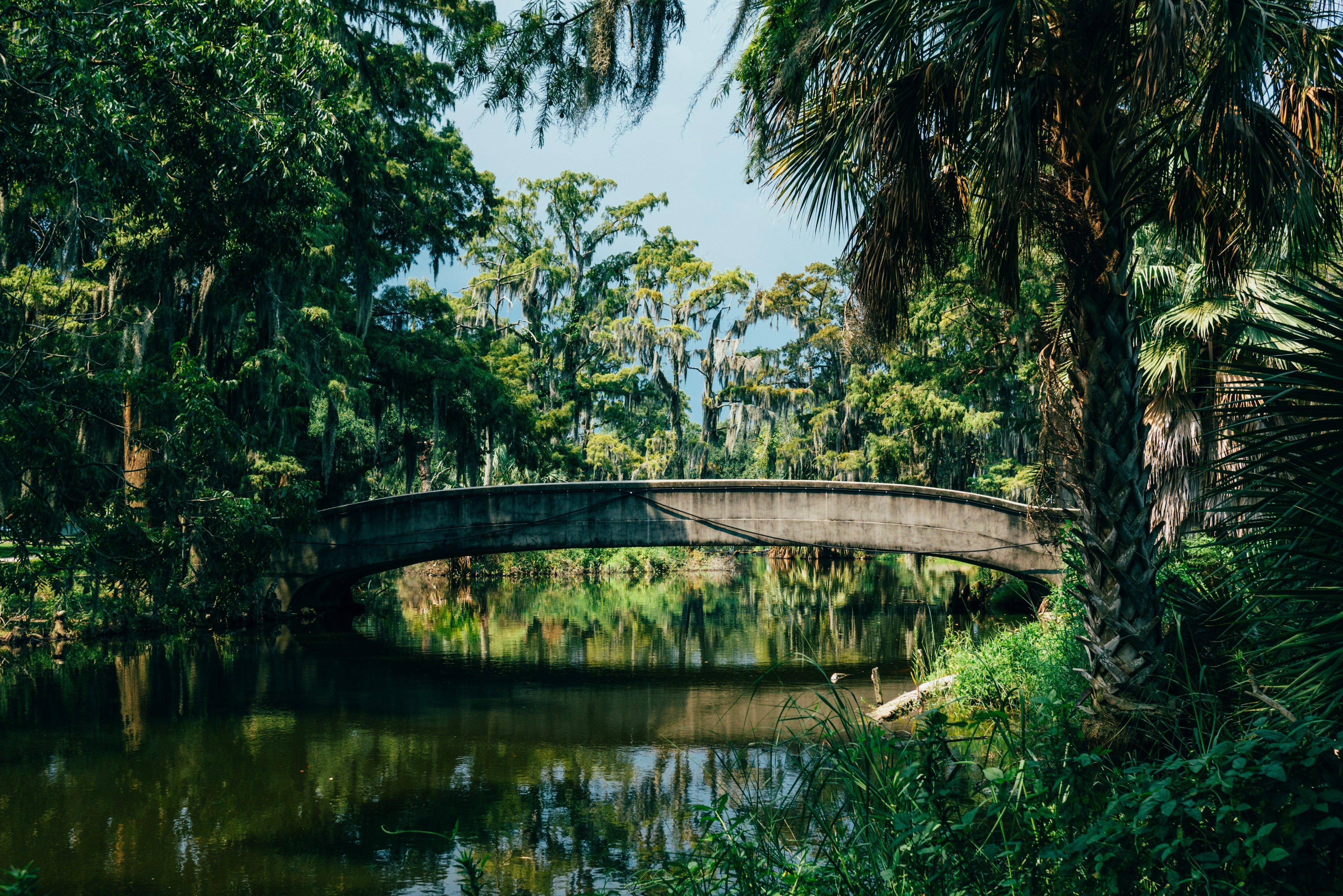 Tropical bayou in City Park New Orleans with foot bridge