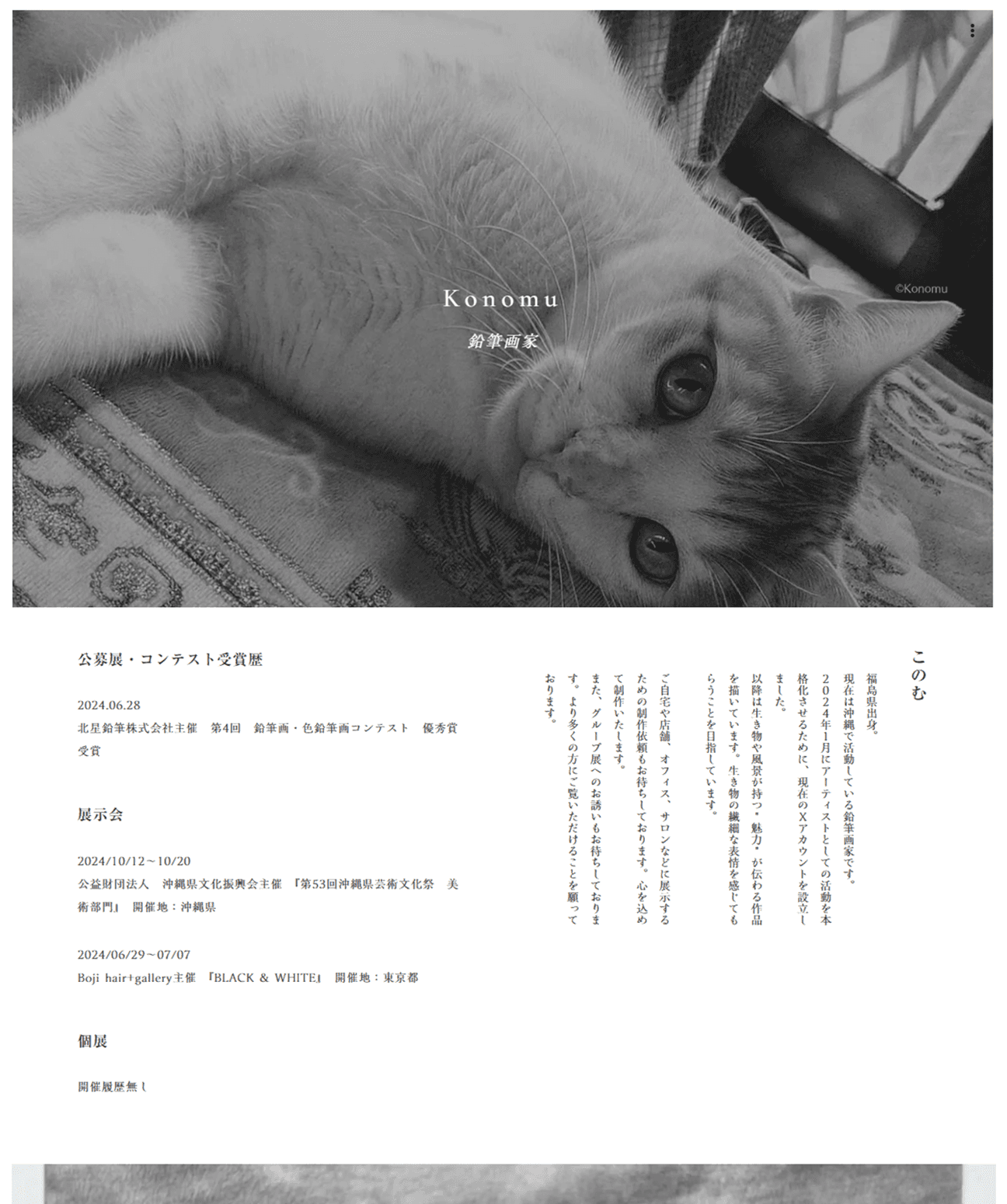 鉛筆画家Konomuさんのポートフォリオサイトのスクリーンショット。ファーストビューには鉛筆で描かれた猫の絵。繊細なタッチで写真と見間違うほどの鉛筆画。