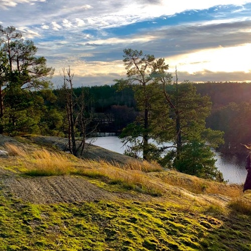Nature Hike Stockholm with Lake View