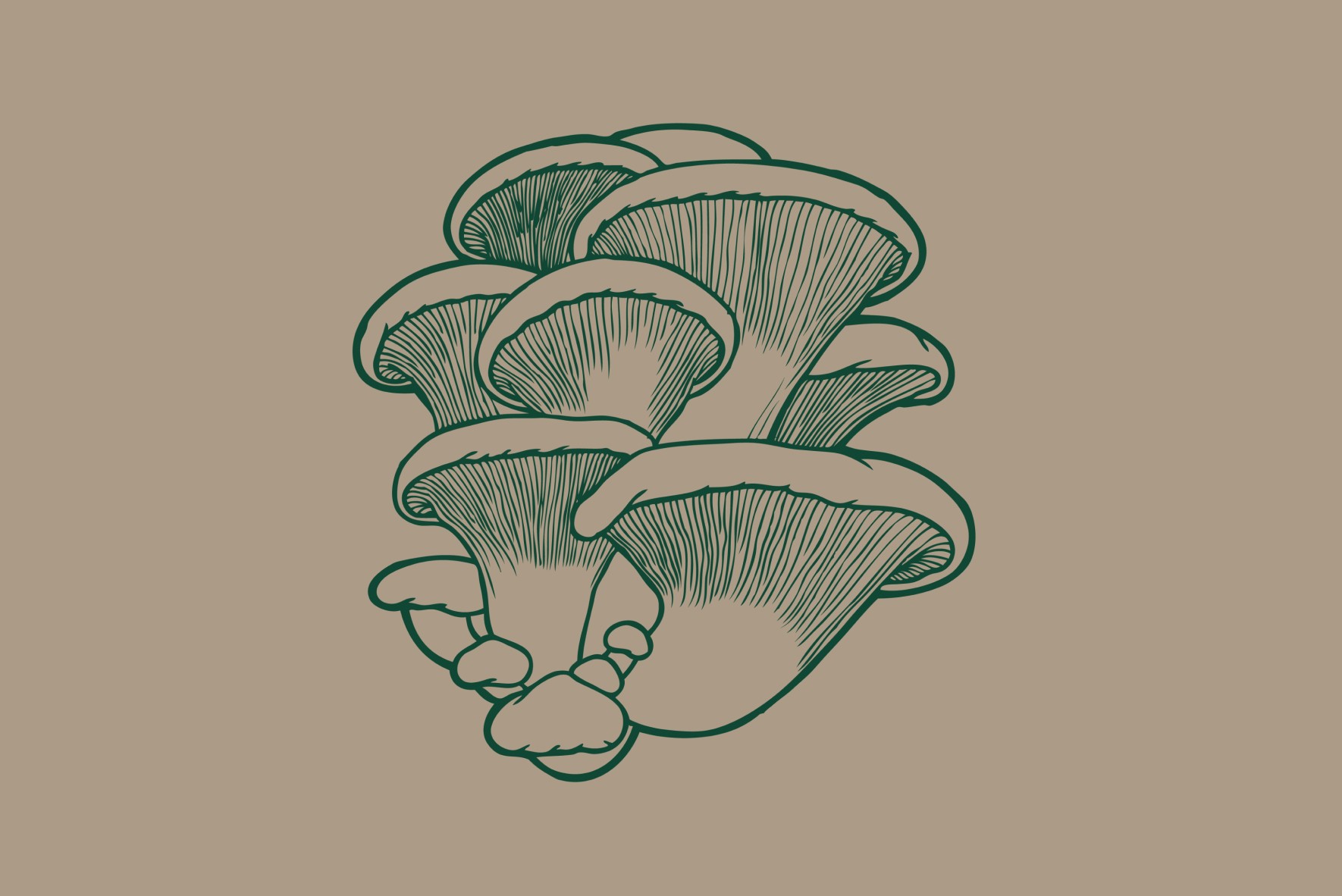 a black female model