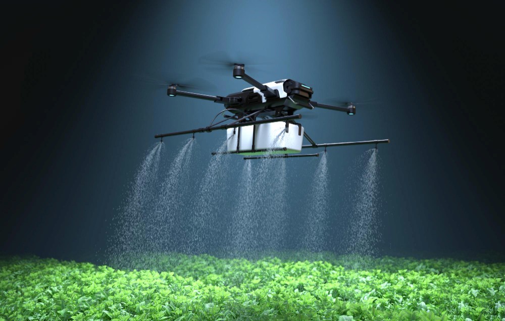 Rear view of black car