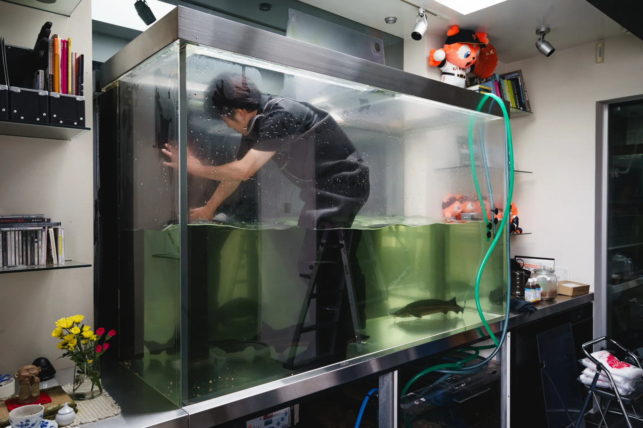 人が入れるサイズの大型アクアリウム水槽で行う内部メンテナンス作業