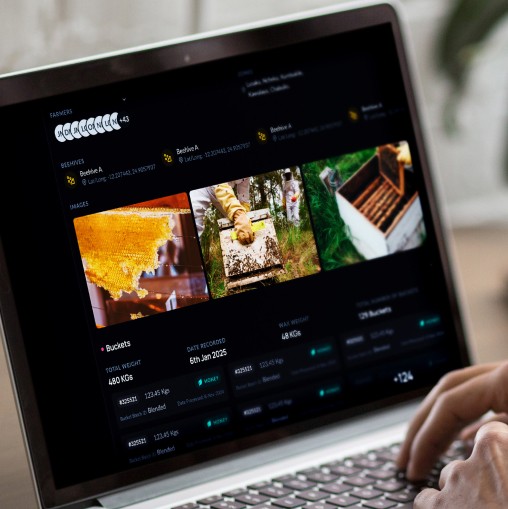 young boy using laptop