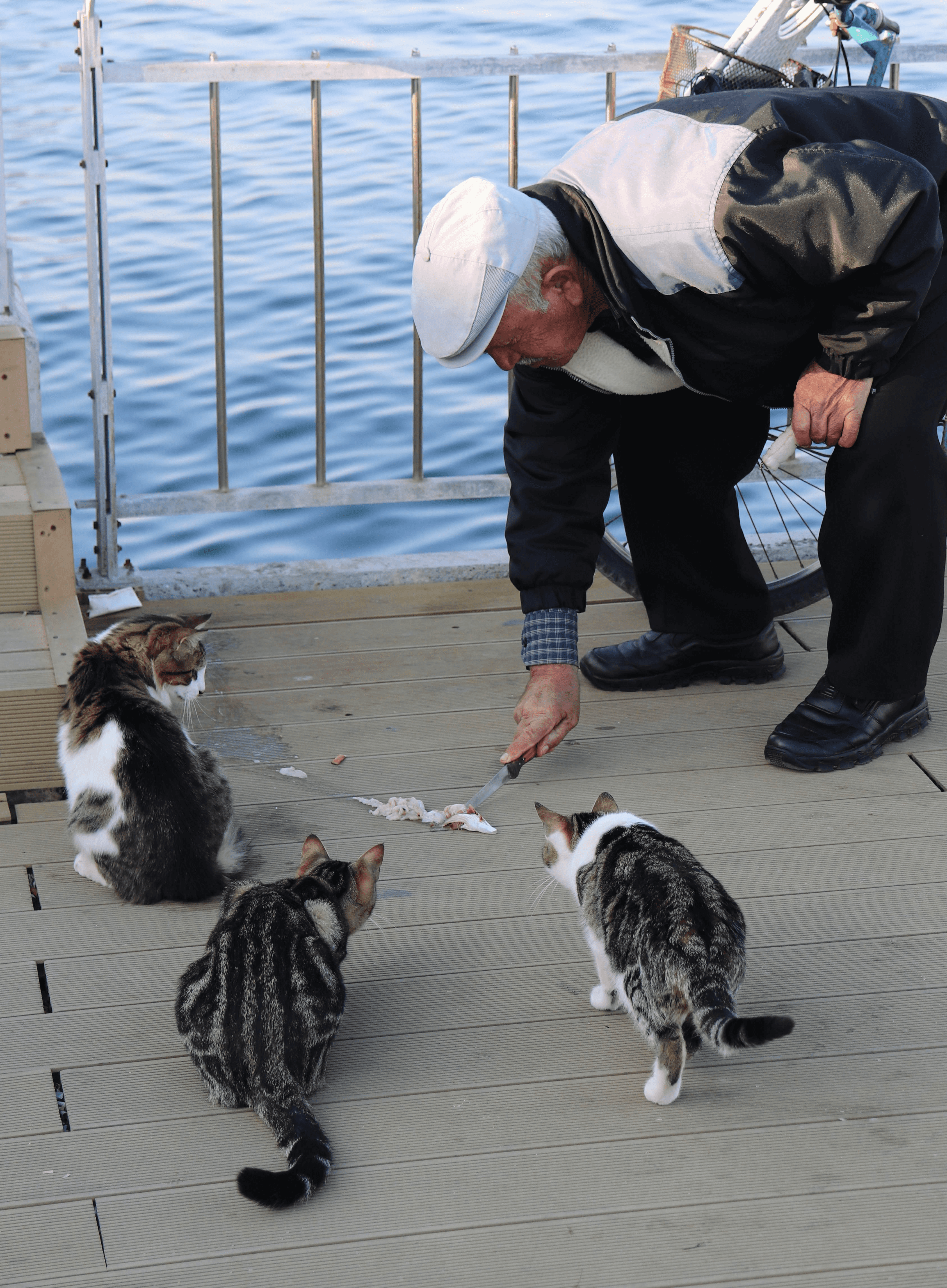 man posing in professional outfit