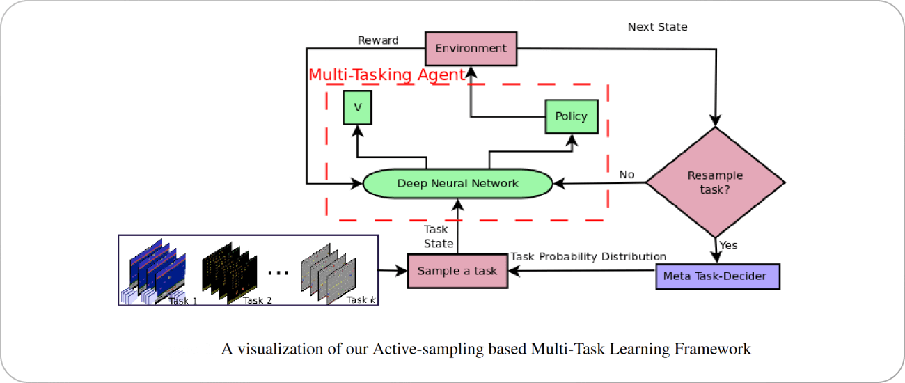 visualization of active-sampling based multi-task learning framework