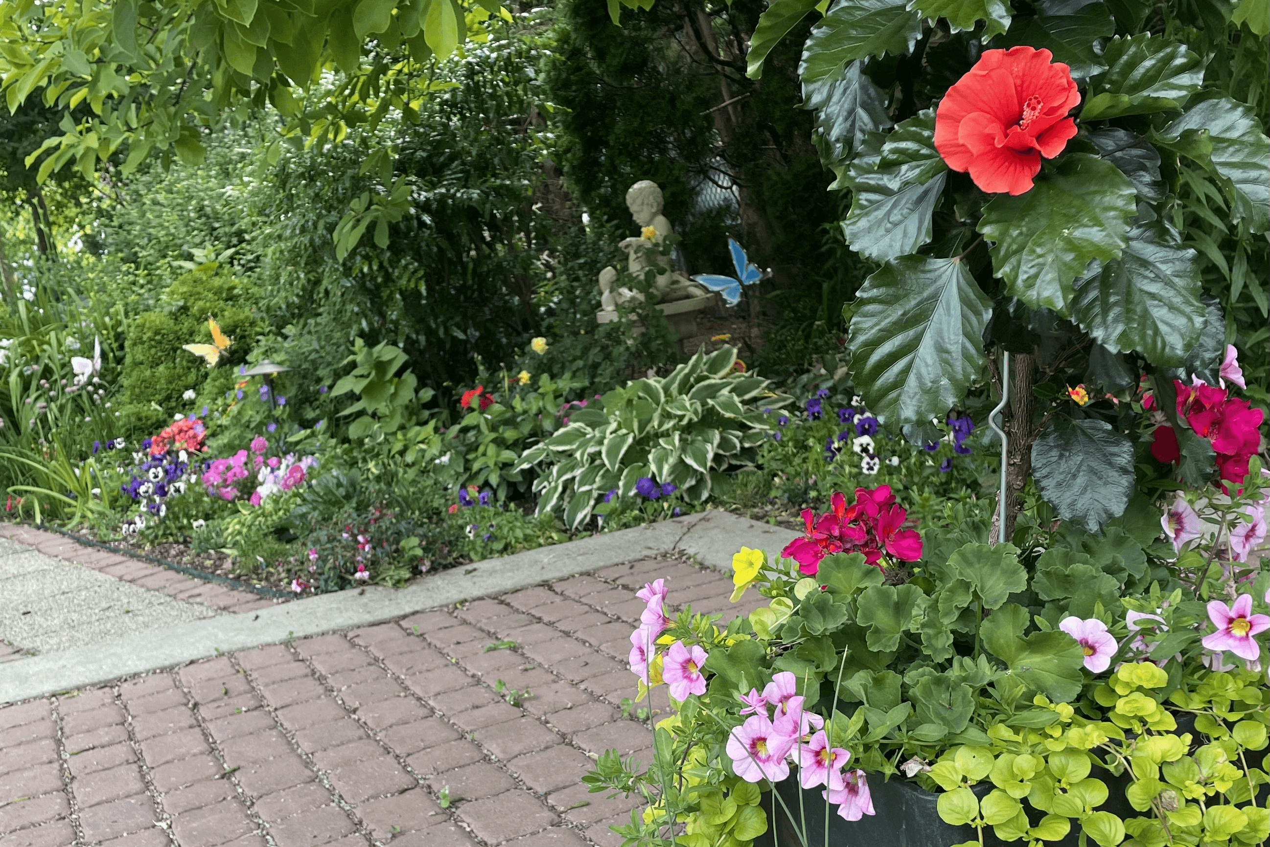 Image 29