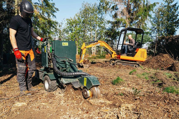 Seilklettertechnik zur Baumpflege, Baumkatastern, Obstbaumschnitt, Baumpflege, Pflege von Bäumen
