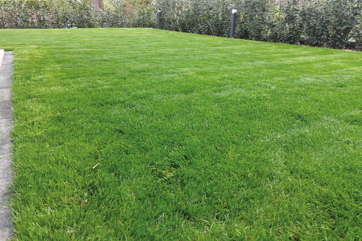person sitting in a chair in front of a man