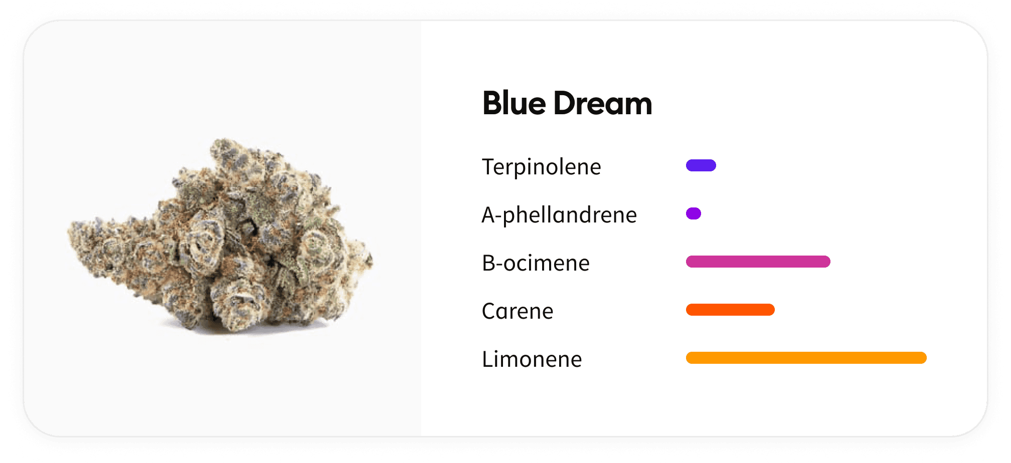 Terpene Profiles