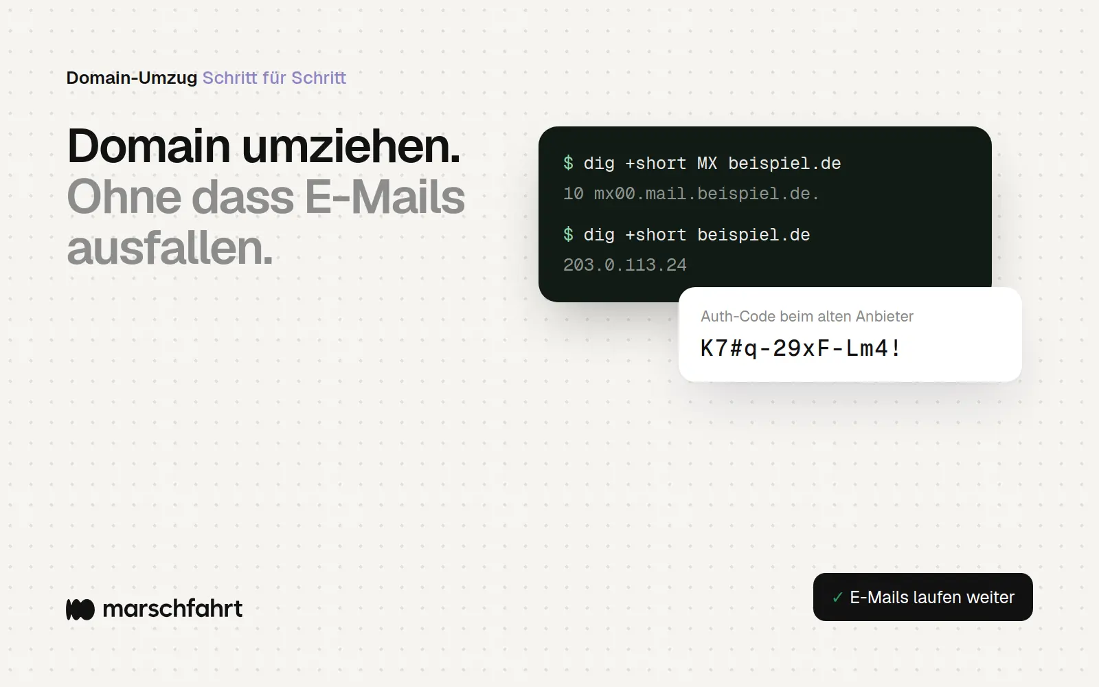 Titelbild zum Beitrag