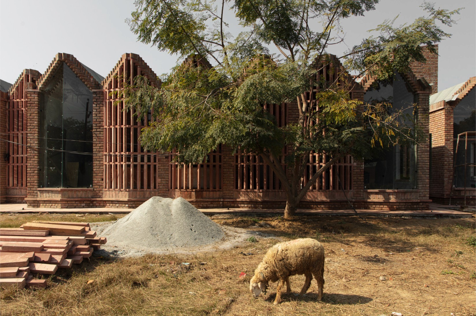 Petal Frames Project