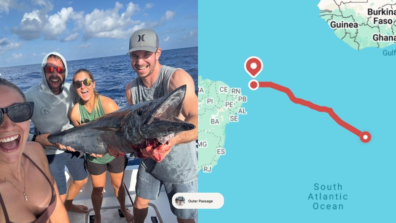 Four people on a catamaran crossing from St Helena to Fernando de Noronha, catching a fish