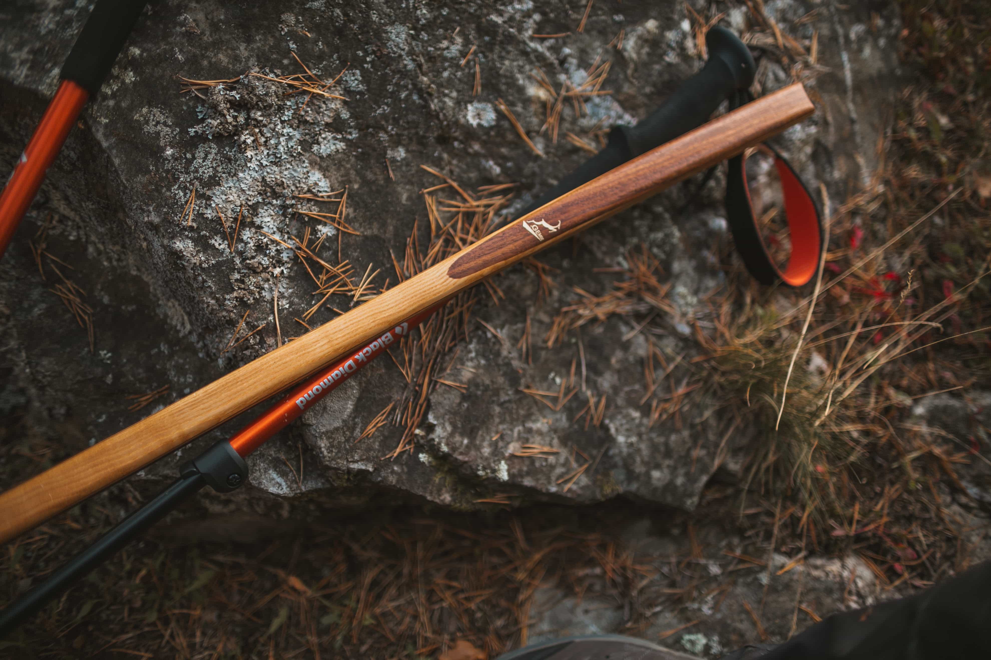 Walking stick chamois on a rock